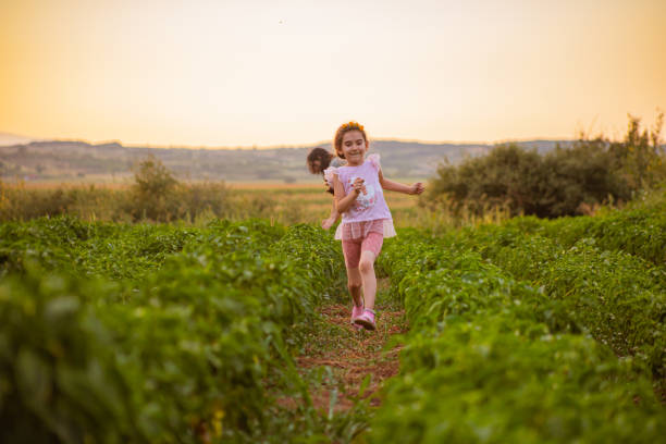 istock While her mother working at the farm, curious daughter running around and exploring the beauty of nature 1333772649