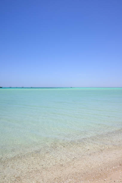 istock Turquoise sea water against clear blue sky 1333772772