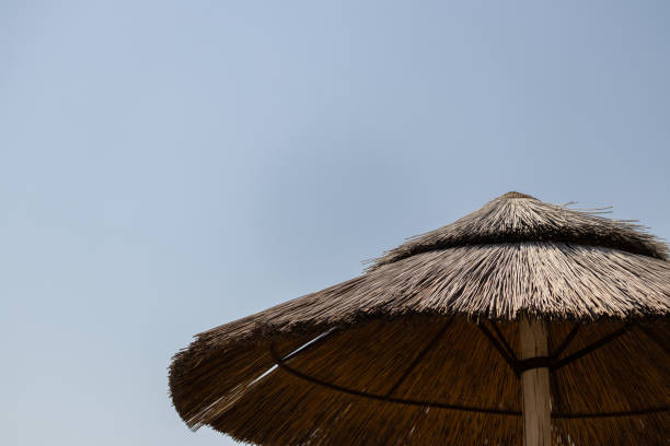 istock Reed umbrella during a sunny day with a blue sky in the background 1333773531