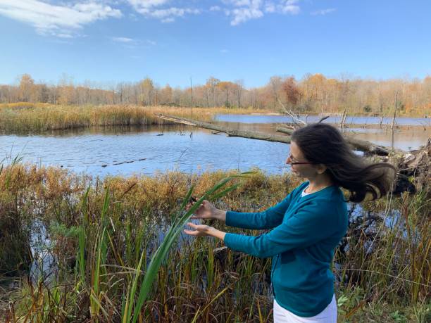 istock Pretty Autumn in Catfish Reservation Area (Canada) 1333777086