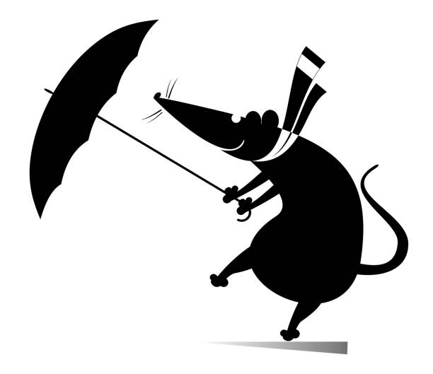 Windy day and rat or mouse with umbrella illustration Cartoon rat or mouse with an umbrella stays on the strong wind black on white opossum silhouette stock illustrations