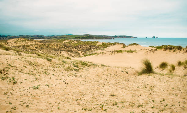 parc naturel des dunes de liencres en cantabrie, espagne - hillock photos et images de collection