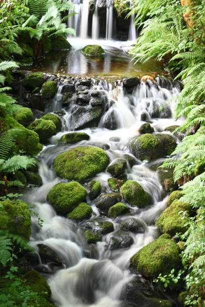schottischer glen wasserfall - flowing water stream moss river stock-fotos und bilder