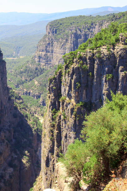 istock Forest and mountains in the distance. Scenery. 1333785074