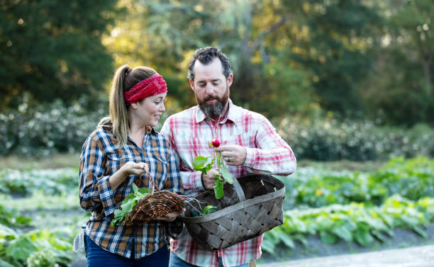 istock Couple on farm harvesting vegetables 1333788321