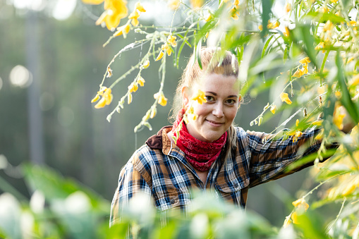 Headshot of an Hispanic woman in her 30s wearing a plaid shirt, working on a small family owned farm. She is smiling and looking at the camera through a shrub with yellow flowers. It is a nitrogen fixing plant which is beneficial to the soil.