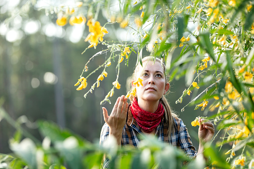 Headshot of an Hispanic woman in her 30s wearing a plaid shirt, working on a small family owned farm. She is examining a shrub with yellow flowers. It is a nitrogen fixing plant which is beneficial to the soil.