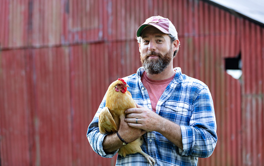 A farmer holding a chicken in his arms, smiling the camera, standing in front of a red barn. He is a mature man in his 40s with a thick beard, wearing a plaid shirt and cap.