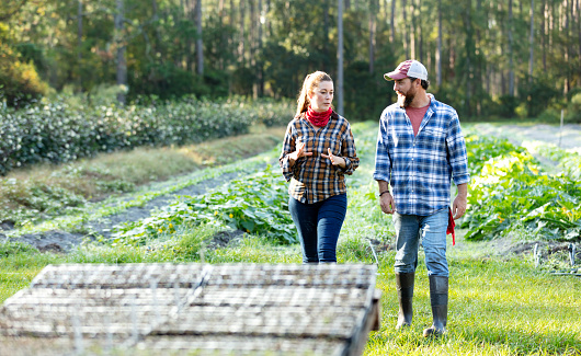 A couple working on a small family farm converse as they walk toward trays of seedlings out of focus in the foreground. Behind them is a field with rows of vegetables. He is a mature man in his 40s. She is an Hispanic woman in her 30s.