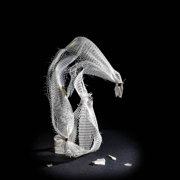 istock Plastic net as disposable packaging for garlic shown like a sculpture against a black background, waste of the abundance and throwaway society that consumes resources and energy, produces microplastic in the ocean and harms environment and climate, art co 1333789721