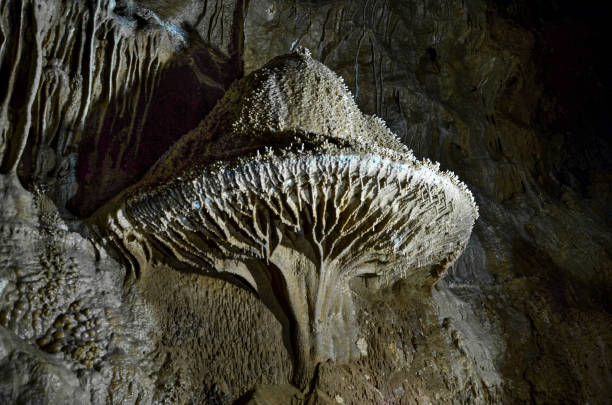 Mushroom concretition of the Bad Hole Cave stock photo