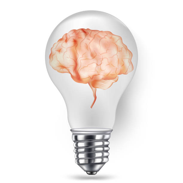 ビジネスアイデアの概念として白い背景に電球の内側の人間の脳。ベクトルイラストeps10。 - light bulb business wisdom abstract点のイラスト素材／クリップアート素材／マンガ素材／アイコン素材