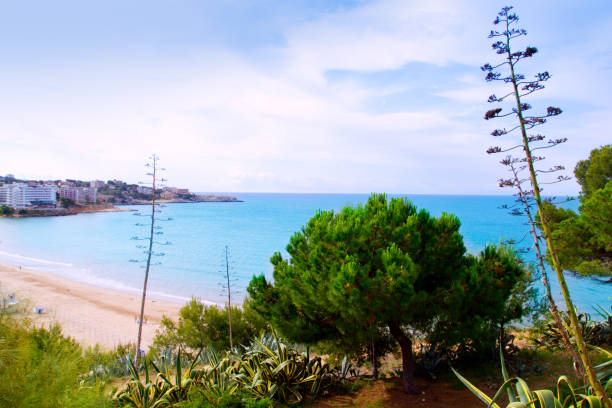 istock long beach Platja larga in Salou Tarragona 1333793124