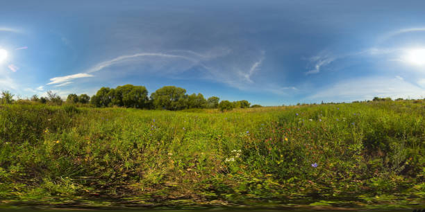 istock Landscape with summer meadow. 360-Degree view 1333793369