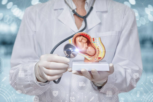 istock Concept the diagnosis and treatment during pregnancy. 1333793587