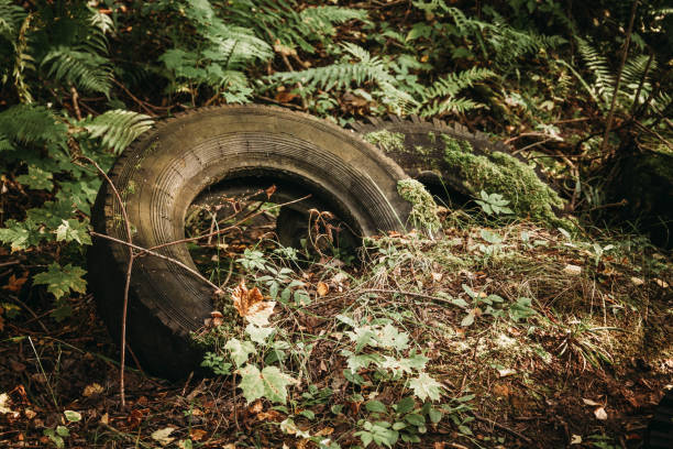 istock Tires from the car thrown in the woods 1333794316