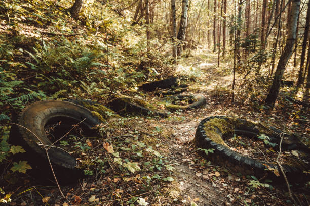 istock Car tires pollute the forest 1333794328