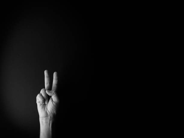 istock Black and white image of hand demonstrating sign language number two with empty copy space 1333796411