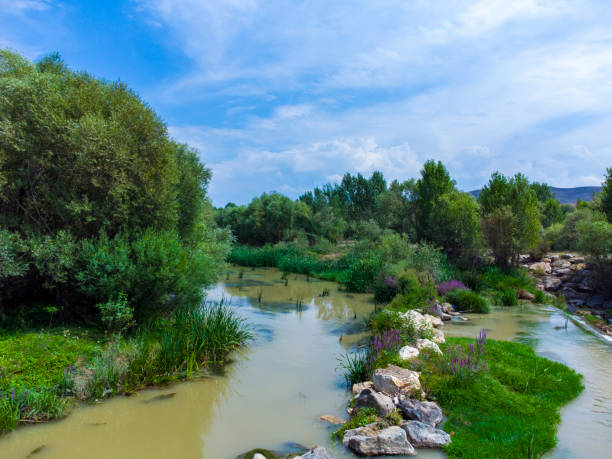 istock Aerial view of Kelkit river from the trees 1333798444