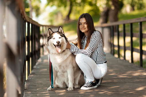 A beautiful girl walks in the park a husky. A man and a dog are the best friends.