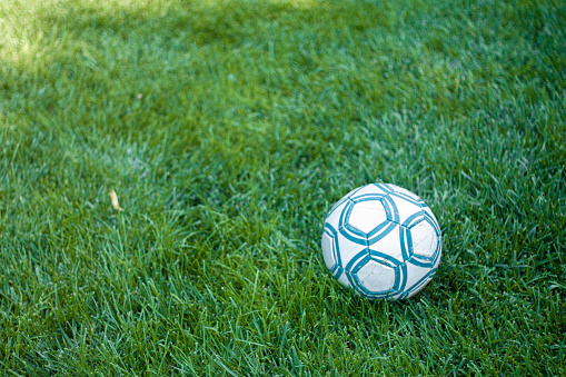 Soccer Ball On The Grass, Garden View