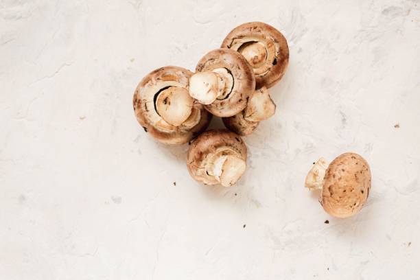 Chestnut mushrooms stock photo