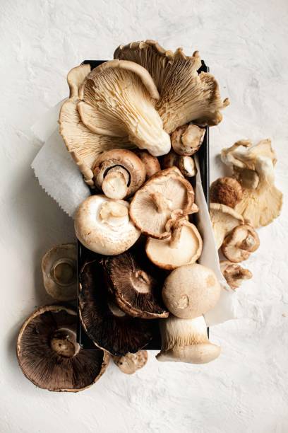 Mixed mushrooms Shiitake, white button, portobello, chestnut, oyster and king oyster mushrooms, shot from above oyster mushroom stock pictures, royalty-free photos & images