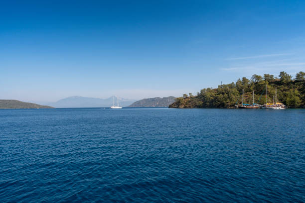 istock luxury sailing yacht on the sea 1333815953