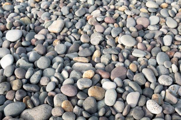 istock Image of  pebbles from a Peruvian beach. Round stones in sunny day. Pebble background image. 1333817403