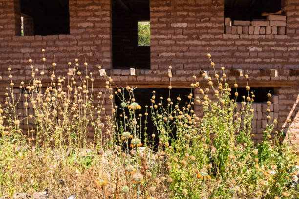 Image of abandoned house in Cusco Peru. Traditional house made with mud bricks.
