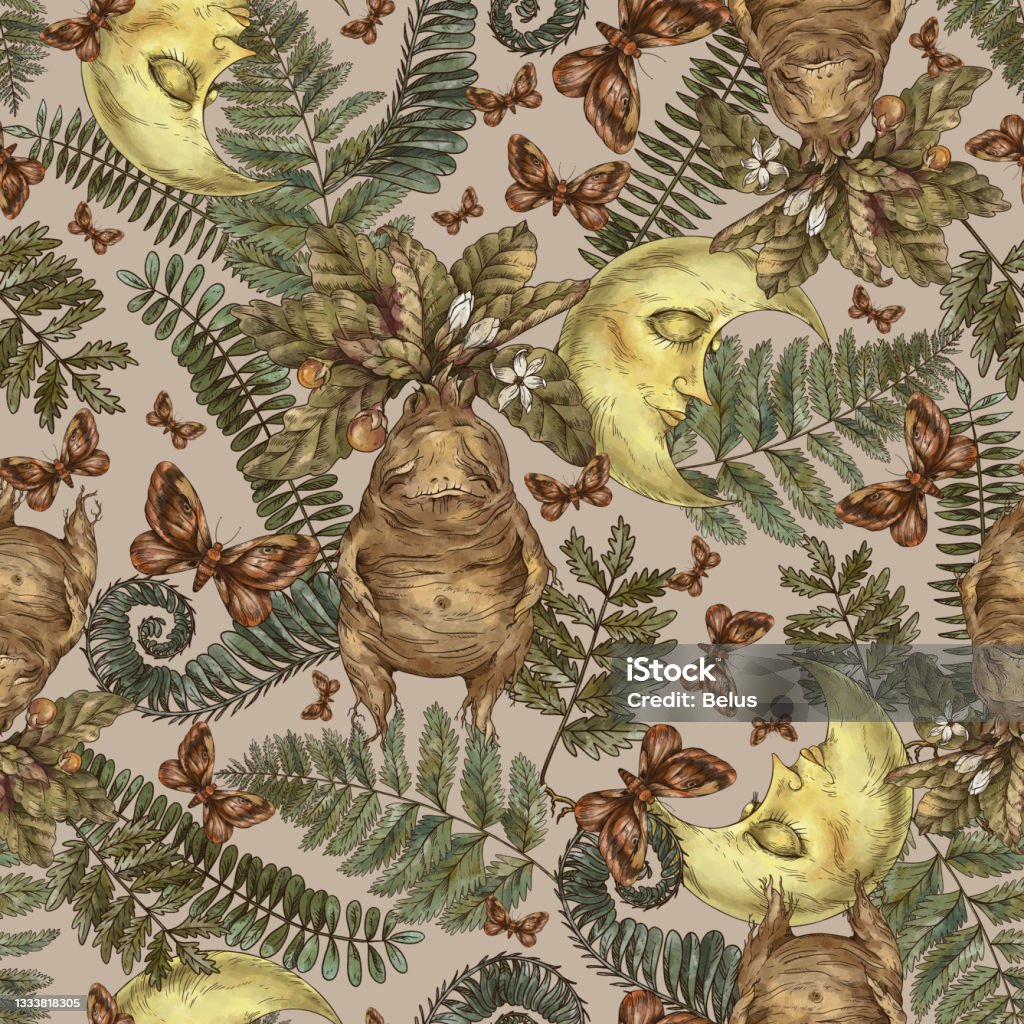 Plantas mágicas padrão perfeito, ervas bruxas mandrake papel de parede raiz - Ilustração de Alquimia royalty-free