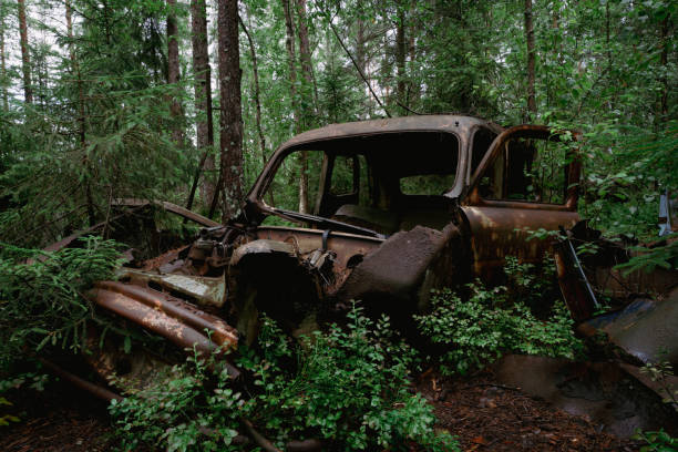 istock Old abandoned car deep in a wet forest 1333820683