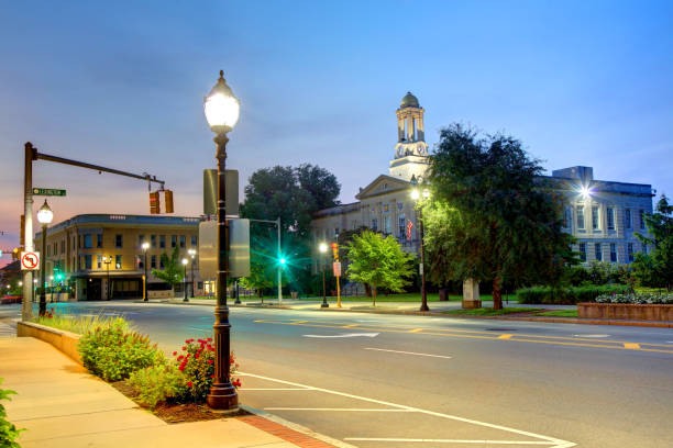 istock Waltham, Massachusetts City Hall 1333820809