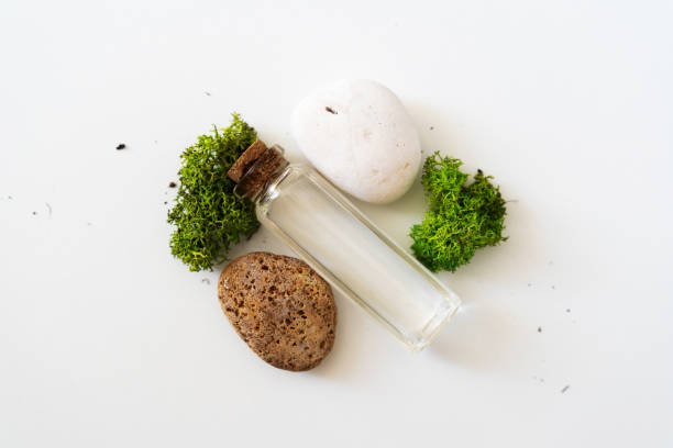Sea moss personal care. Glass cork bottle with transparent serum and sea moss on white background. Ingredient for skincare stock photo