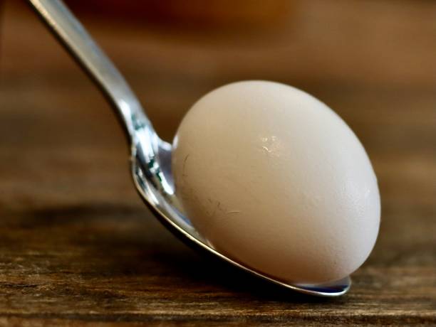 egg on a spoon - 4724 imagens e fotografias de stock