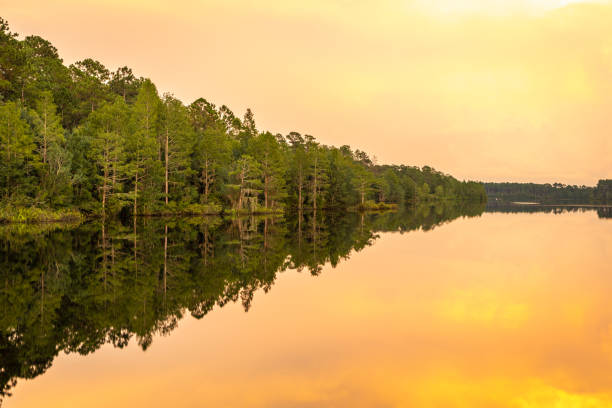 istock Sky and Shoreline Reflected in Georgia Lake 1333833301