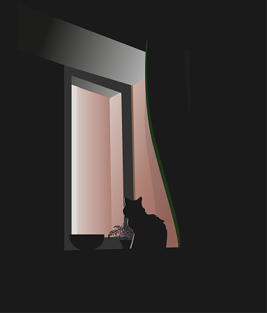 The silhouette of a cat sitting on the windowsill, and looking out the window at night