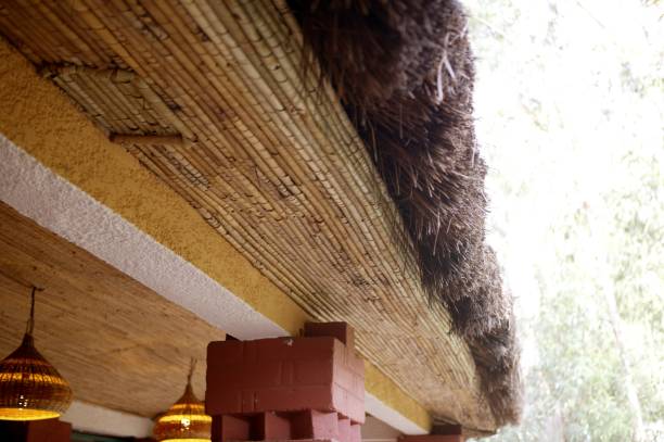 istock African traditional ethnic house vegetal ceiling 1333836533