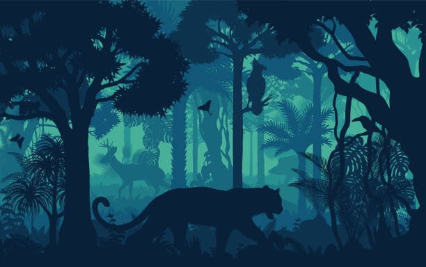 Vector evening tropical rainforest Jungle background with jaguar, harpy eagle, toucan, deer and hog Vector evening tropical rainforest Jungle background with jaguar, harpy eagle, toucan, deer and hog peccary stock illustrations