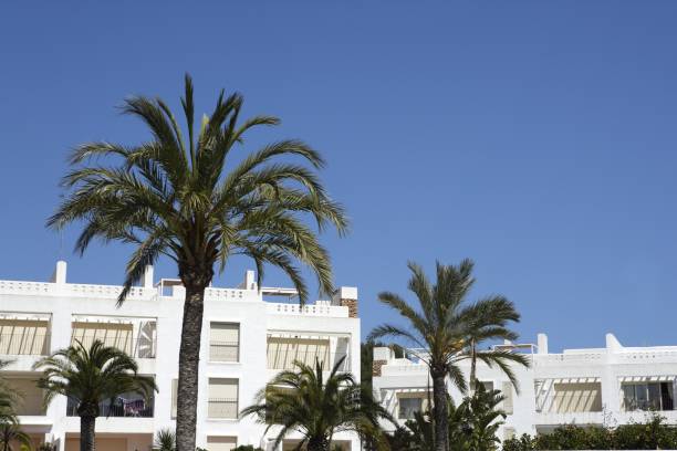 istock mediterranean white houses palm trees blue sky 1333837348