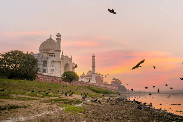 istock Taj Mahal in Agra, India 1333838595