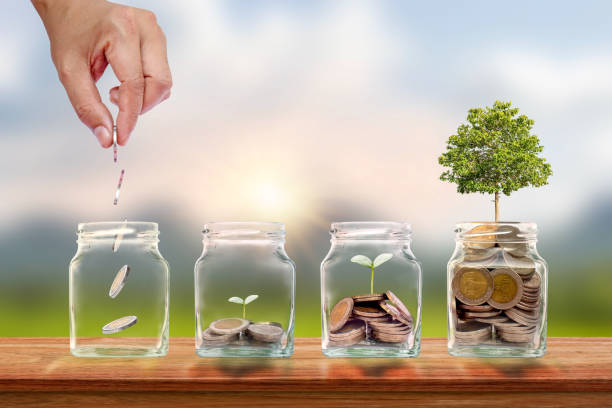 istock Hand holding a silver coin in a jar where money grows and a tree that grows in a jar to save money. Business Savings and Investment Ideas 1333841376