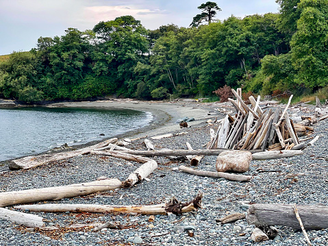 Driftwood and colorful rocks and pebbles line the shore of Cattle Point Beach in the San Juan Islands outside of Seattle