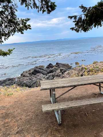 Lime Kiln Park is considered one of the best places in the world to view whales from a land-based facility. The empty picnic table awaits the next visitor to sit and look over the coastline for whales.