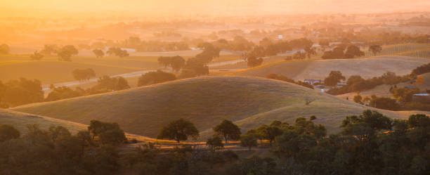 sonnenaufgang auf den mit weinreben bedeckten hügeln des weinlandes - vineyard california vine panoramic stock-fotos und bilder