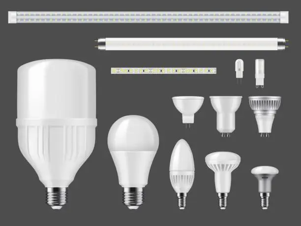 Vector illustration of LED bulb lamps, tubes and light strips