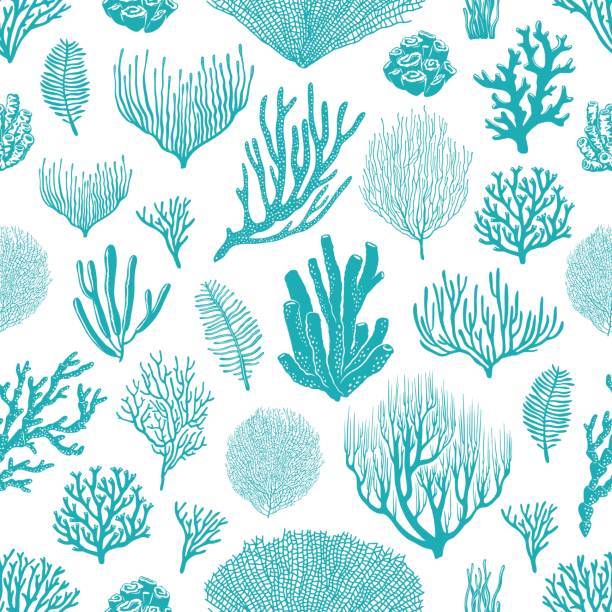 illustrations, cliparts, dessins animés et icônes de coraux de mer, plantes d’aquarium motif sans couture - coral colored
