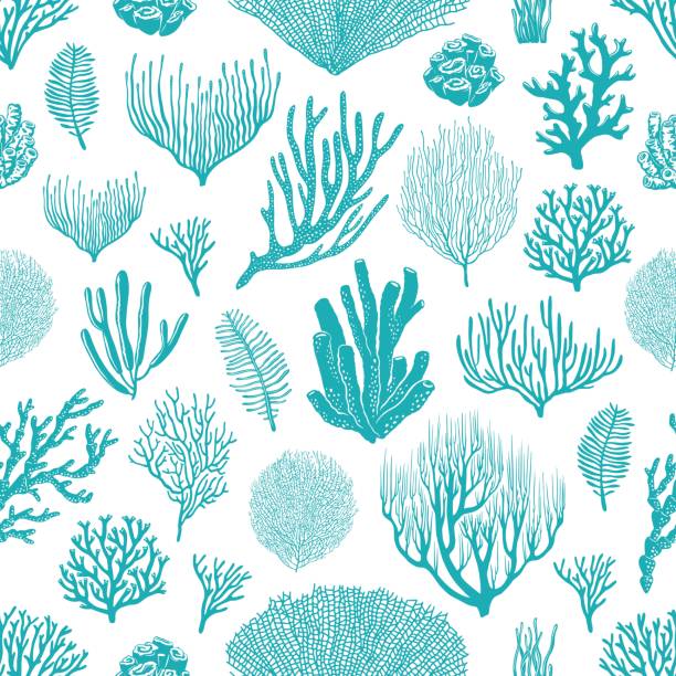 ilustrações de stock, clip art, desenhos animados e ícones de sea corals, aquarium plants seamless pattern - underwater abstract coral seaweed