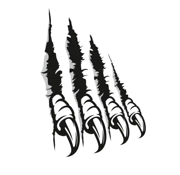 Vector illustration of Bird of prey claw marks, scratches, monster nails