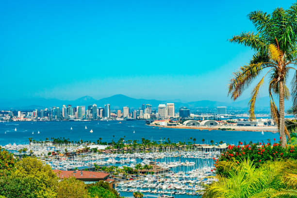 san diego skyline und bucht von einem der landschaftlich gestalteten hügel. - environment nature tranquil scene nautical vessel stock-fotos und bilder